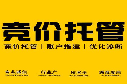 成功案例：托管竞价sem如何助力企业快速发展
